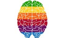 از روانشناسی رنگها چه میدانید؟