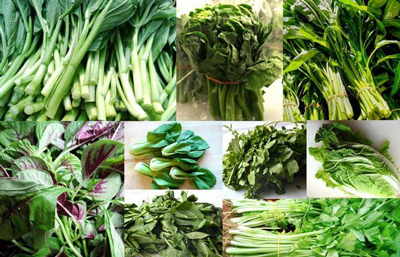 سبزی های مفید و پرخاصیت