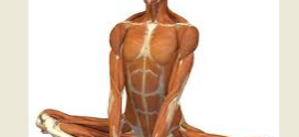 حرکات مناسب یوگا برای تقویت سیستم ایمنی بدن